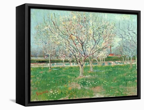 Orchard in Blossom, 1880-Vincent van Gogh-Framed Stretched Canvas