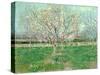 Orchard in Blossom, 1880-Vincent van Gogh-Stretched Canvas