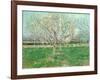 Orchard in Blossom, 1880-Vincent van Gogh-Framed Giclee Print