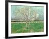 Orchard in Blossom, 1880-Vincent van Gogh-Framed Giclee Print