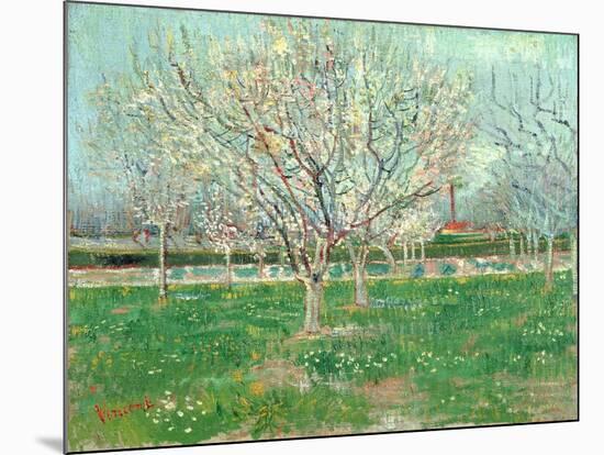 Orchard in Blossom, 1880-Vincent van Gogh-Mounted Giclee Print