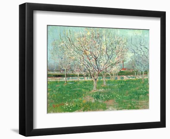 Orchard in Blossom, 1880-Vincent van Gogh-Framed Premium Giclee Print