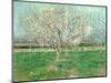 Orchard in Blossom, 1880-Vincent van Gogh-Mounted Premium Giclee Print
