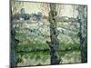 Orchard in Blossom with a View of Arles, 1889-Vincent van Gogh-Mounted Giclee Print