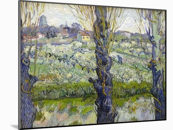Orchard in Blossom with View of Arles, 1889-Vincent van Gogh-Mounted Giclee Print