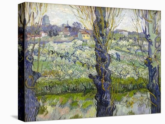 Orchard in Blossom with View of Arles, 1889-Vincent van Gogh-Stretched Canvas