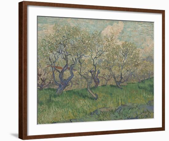 Orchard In Blossom-Vincent Van Gogh-Framed Art Print