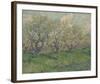 Orchard In Blossom-Vincent Van Gogh-Framed Art Print