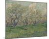 Orchard In Blossom-Vincent Van Gogh-Mounted Art Print