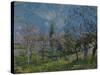 Orchard in Spring, By, 1881-Alfred Sisley-Stretched Canvas