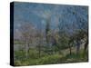 Orchard in Spring, By, 1881-Alfred Sisley-Stretched Canvas