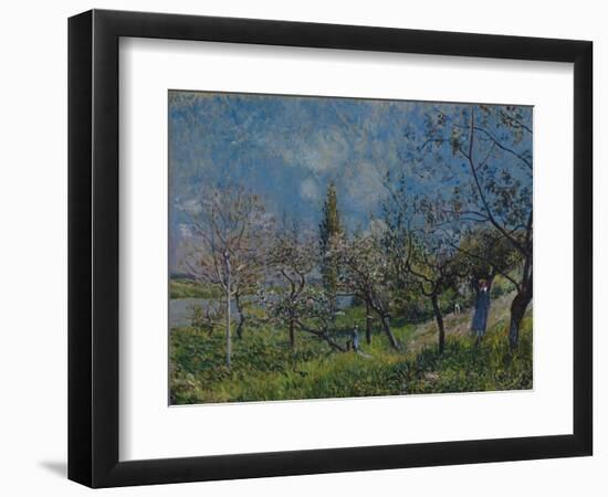 Orchard in Spring, By, 1881-Alfred Sisley-Framed Giclee Print