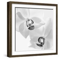 Orchard Marito, 2009-Hiroyuki Arakawa-Framed Photographic Print