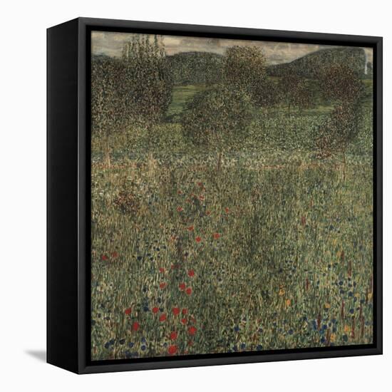 Orchard or Field of Flowers, Ca 1905-Gustav Klimt-Framed Stretched Canvas