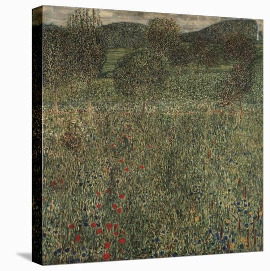 Orchard or Field of Flowers, Ca 1905-Gustav Klimt-Stretched Canvas