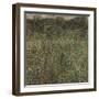 Orchard or Field of Flowers, Ca 1905-Gustav Klimt-Framed Giclee Print