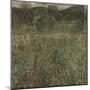 Orchard or Field of Flowers, Ca 1905-Gustav Klimt-Mounted Giclee Print