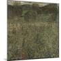 Orchard or Field of Flowers, Ca 1905-Gustav Klimt-Mounted Giclee Print