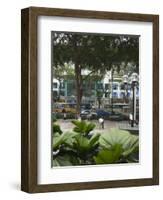 Orchard Road, Singapore's Premier Shopping Street, Singapore, Southeast Asia-Amanda Hall-Framed Photographic Print