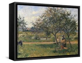 Orchard, the Wheelbarrow-Camille Pissarro-Framed Stretched Canvas