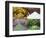 Orchard through the Seasons, Central Otago, South Island, New Zealand-David Wall-Framed Photographic Print