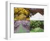 Orchard through the Seasons, Central Otago, South Island, New Zealand-David Wall-Framed Photographic Print