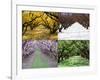 Orchard through the Seasons, Central Otago, South Island, New Zealand-David Wall-Framed Photographic Print