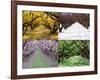 Orchard through the Seasons, Central Otago, South Island, New Zealand-David Wall-Framed Photographic Print