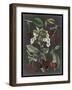 Orchard Varieties I-Vision Studio-Framed Art Print