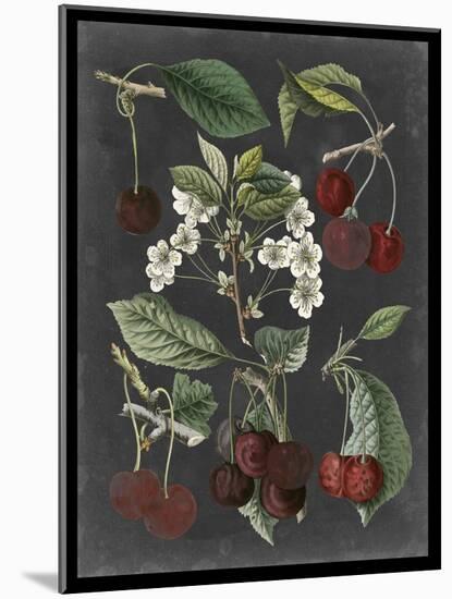 Orchard Varieties I-Vision Studio-Mounted Art Print