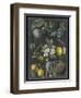 Orchard Varieties IV-Vision Studio-Framed Art Print