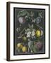 Orchard Varieties IV-Vision Studio-Framed Art Print