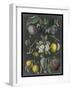 Orchard Varieties IV-Vision Studio-Framed Art Print