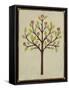 Orchard Vignette II-June Erica Vess-Framed Stretched Canvas