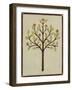 Orchard Vignette II-June Erica Vess-Framed Art Print