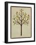 Orchard Vignette II-June Erica Vess-Framed Art Print