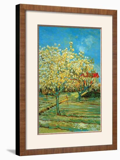 Orchard with Cypress by Van Gogh-Vincent van Gogh-Framed Art Print