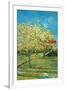 Orchard with Cypress by Van Gogh-Vincent van Gogh-Framed Art Print