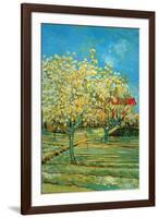 Orchard with Cypress by Van Gogh-Vincent van Gogh-Framed Art Print