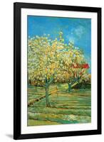 Orchard with Cypress by Van Gogh-Vincent van Gogh-Framed Art Print