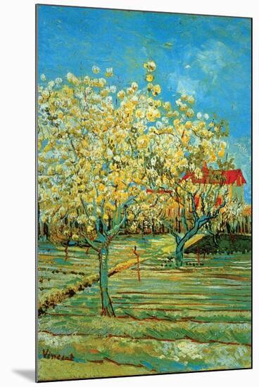 Orchard with Cypress by Van Gogh-Vincent van Gogh-Mounted Art Print