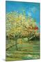 Orchard with Cypress by Van Gogh-Vincent van Gogh-Mounted Art Print