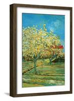 Orchard with Cypress by Van Gogh-Vincent van Gogh-Framed Art Print