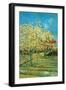 Orchard with Cypress by Van Gogh-Vincent van Gogh-Framed Art Print