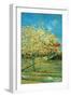 Orchard with Cypress by Van Gogh-Vincent van Gogh-Framed Art Print