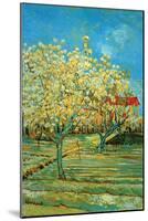 Orchard with Cypress by Van Gogh-Vincent van Gogh-Mounted Art Print