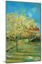 Orchard with Cypress by Van Gogh-Vincent van Gogh-Mounted Art Print