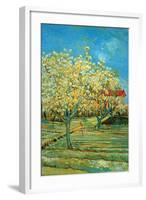 Orchard with Cypress by Van Gogh-Vincent van Gogh-Framed Art Print