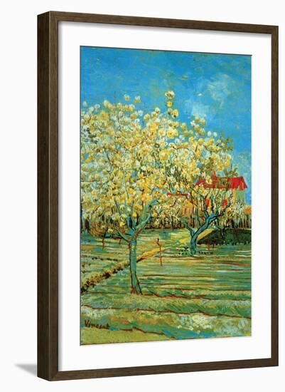 Orchard with Cypress by Van Gogh-Vincent van Gogh-Framed Art Print