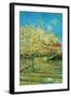 Orchard with Cypress by Van Gogh-Vincent van Gogh-Framed Art Print